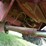 case-ih-1640-image-19