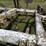 chem-farm-cpx160-chisel-plow-image-14