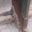 #1020-•-1996-pickett-6r30a-one-step-bean-cutter-image-59