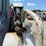 takeuchi-tl240-image-11