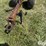 midland-m66-image-9