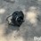 international-1000-image-3