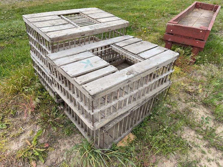 chicken-cages-image-2