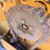 2019-vermeer-504r-premium-image-43