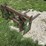 john-deere-600-image-5