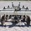 #1004-•-patriot-track-closer-image-6