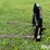 land-pride-pfle4548-pallet-forks-image-8