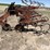 westgo-6r30"-danish-tine-cultivator-image-9