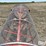snowco-grain-cleaner-image-9