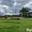 alloway-10"-swing-out-grain-auger-image-8