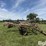 chem-farm-cpx160-chisel-plow-image-8