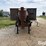 2022-homemade-box-trailer-image-2
