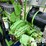(x)-(9-27)-2012-nov-rolligon-ht-180-hydration-unit...-image-3