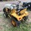 international-cub-image-4