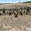 6r30"-cultivator-image-6