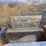 kubota-rtv900-image-14