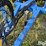 landoll-7431-29-image-10
