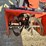 bob-cat-predator-pro-image-9