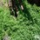 continuous-fence-panels-image-11