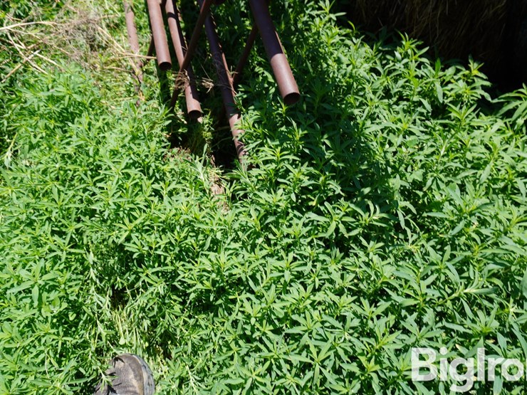 continuous-fence-panels-image-11