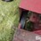 case-ih-1640-image-13
