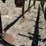 6r30"-cultivator-image-17
