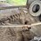 john-deere-12-image-4