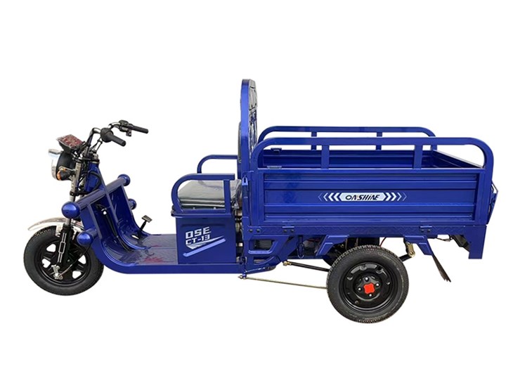 #4087-•-onshine-electric-cargo-tricycle-image-2