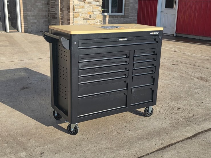 #4064-•-onshine-13-drawer-rolling-tool-cabinet-with-1159-tools-image-2