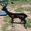 pabreak-deer-shaped-reactive-shooting-target-image-1