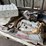pallet-of-ceramic-tile,-12"x12",-2"x4"-image-1