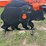 pabreak-bear-shaped-reactive-shooting-target-image-3