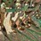john-deere-10-image-21