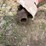 pequea-910-image-7