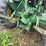 john-deere-2040-image-10