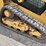 caterpillar-249d3-image-10