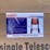 13-step-single-side-telescoping-ladder-image-2