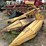 new-holland-824-image-4