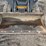 2016-deere-323e-image-9