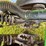 1998-john-deere-1560-image-28