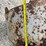 16.9-34-clamp-on-duals-w/-10"-spacer-image-8