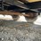 great-dane-trailer-image-22