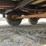 great-dane-trailer-image-23