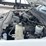 2019-ford-f250-image-7