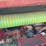 case-ih-rbx463-image-18