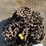 pallet-of-drive-chains-for-v-bottom-spreader-image-6