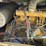 2020-caterpillar-303.5-image-29