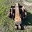 grapple-excavator-attachment-image-9