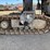 1998-wirtgen-2000-image-25