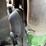 john-deere-6420-image-50